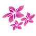 Air Rarotonga